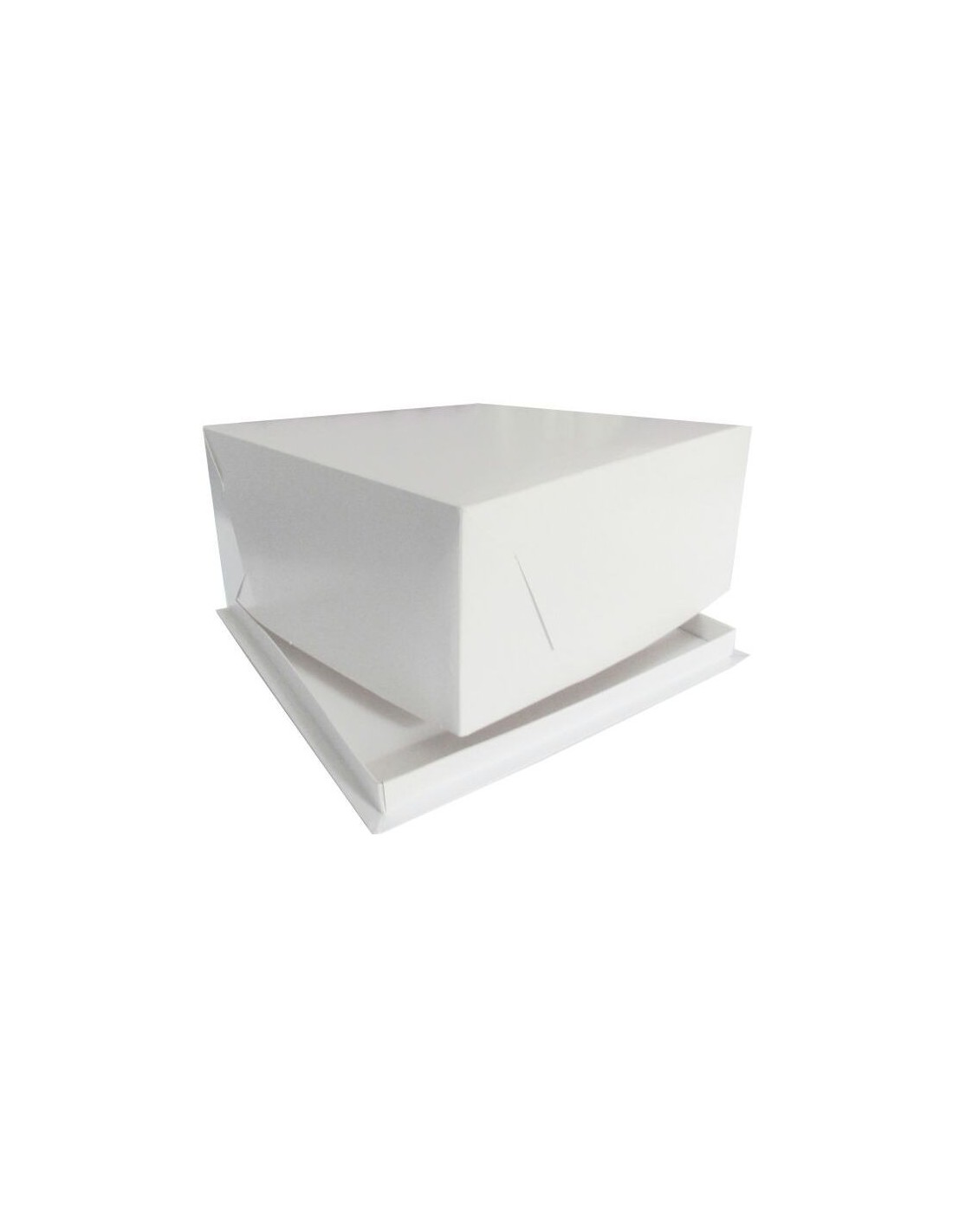 Caja Multiusos Grande Tapa C/broches Plástico Resistente